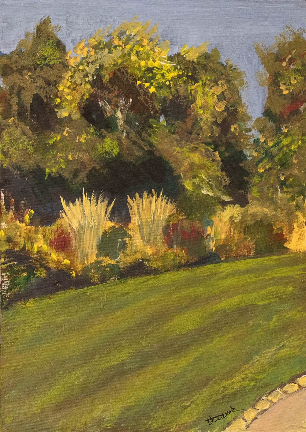 Light and Shadow in the Park