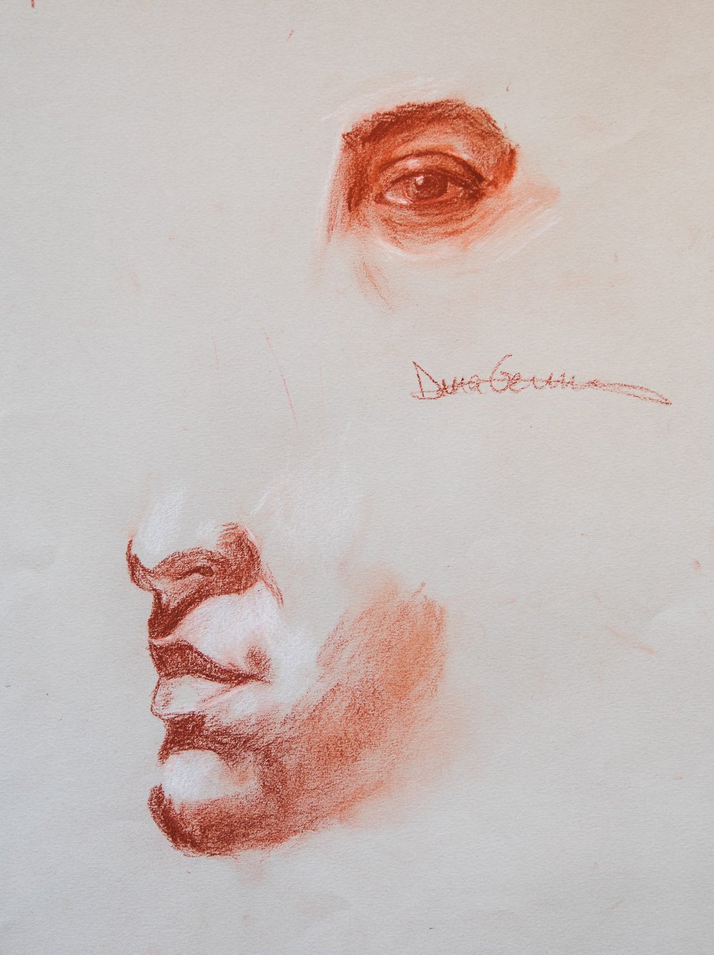 Facial Details Study in Sanguine